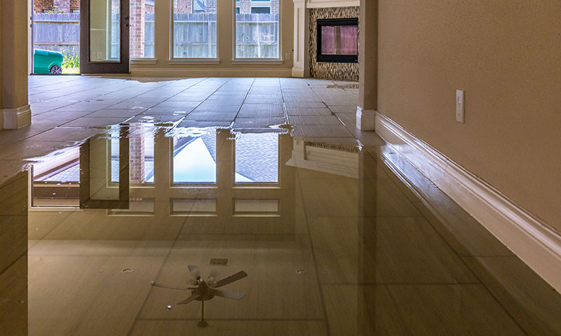 Interior room of house with water puddled on floor