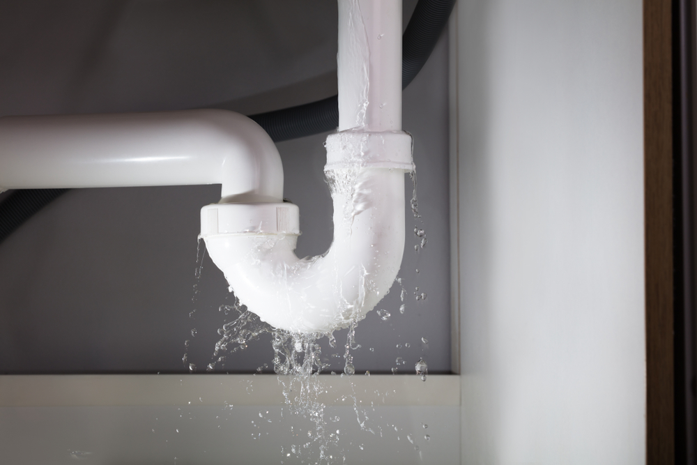 How Long Can I Wait to Report Water Damage in My South Florida Home?