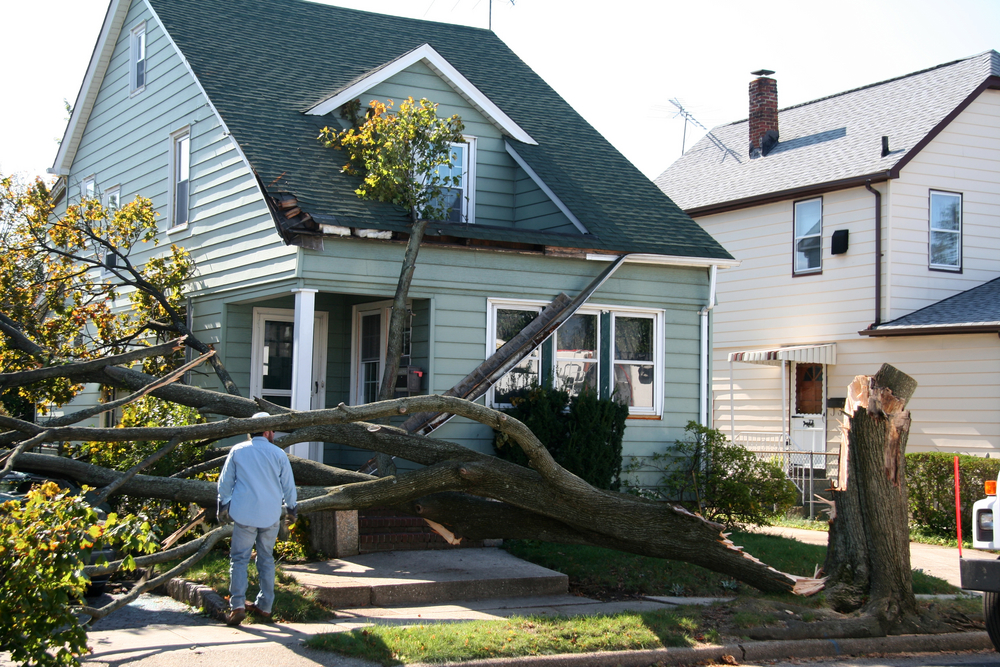 Can a Florida Public adjuster Help If Your Home Suffers Wind Damage?