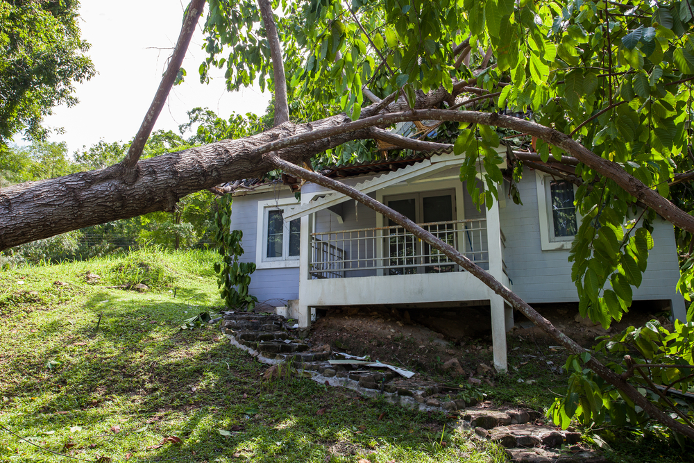 How Long Does It Take for Your Hurricane Damage adjuster in Florida to Resolve Your Claim?