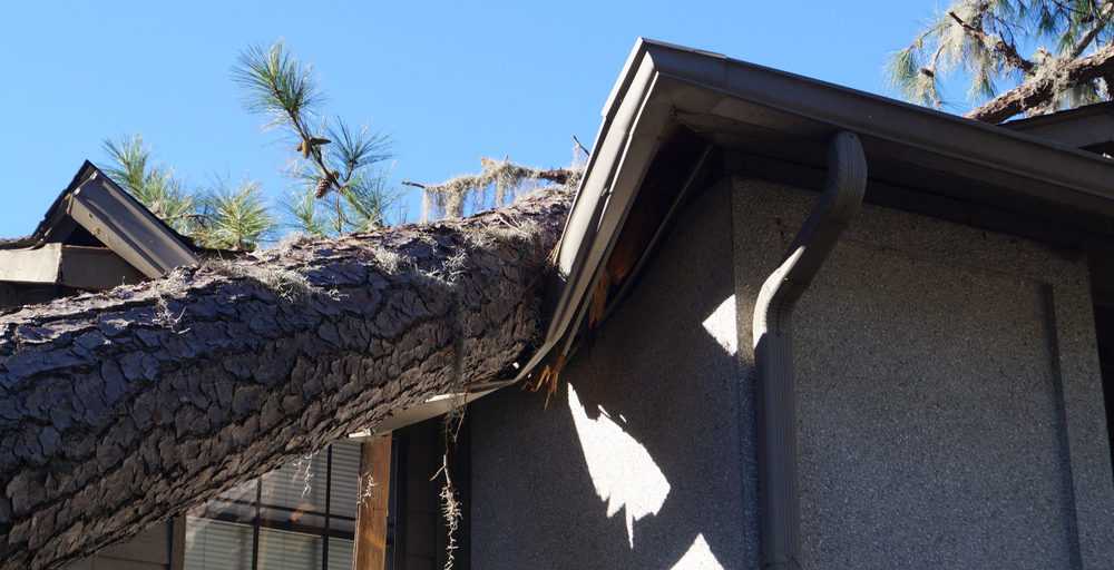 Can a Hurricane Damage Adjuster Assess the Damage to Your Home?